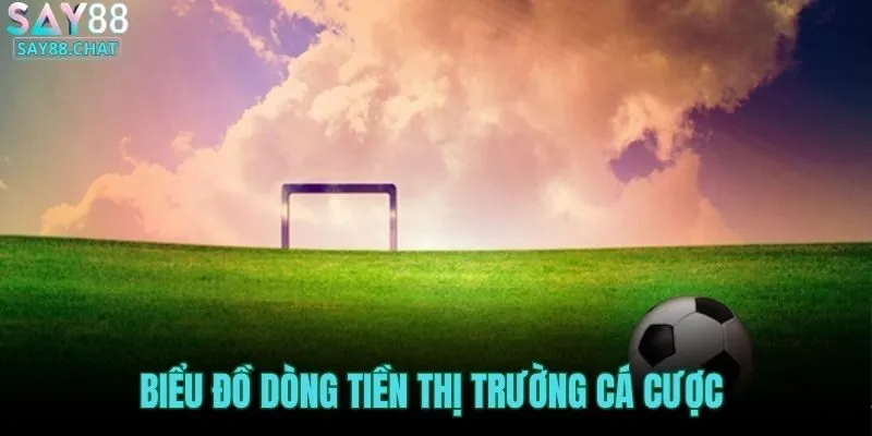 bieu-do-dong-tien-thi-truong-ca-cuoc