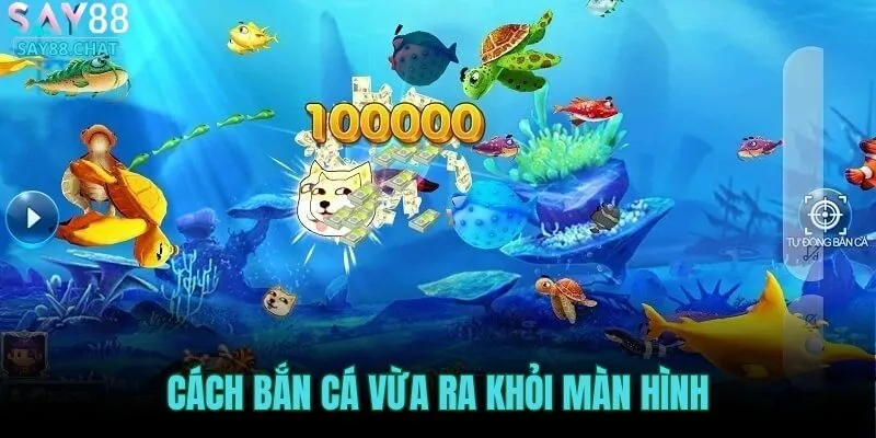 canh-ban-ca-vua-ra-khoi-man-hinh