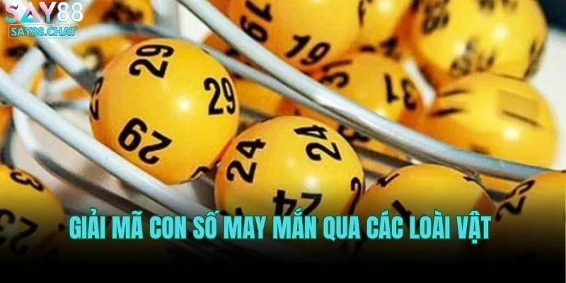 giai-ma-con-so-may-man-qua-cac-loai-vat