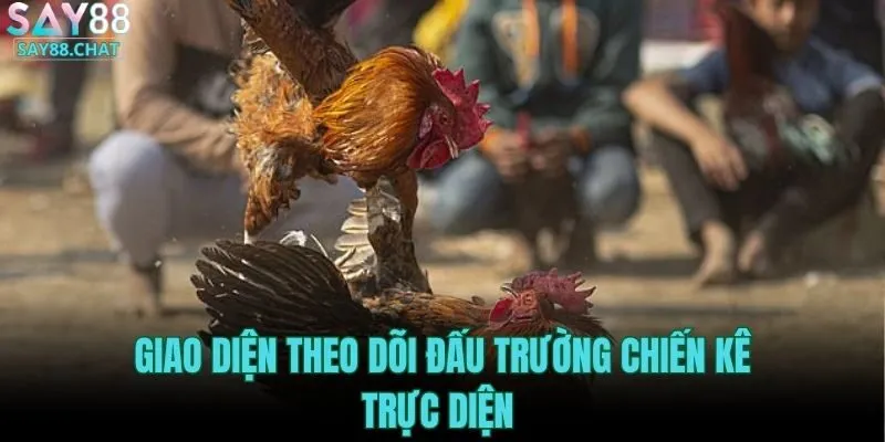 giao-dien-theo-doi-dau-truong-chien-ke-truc-dien