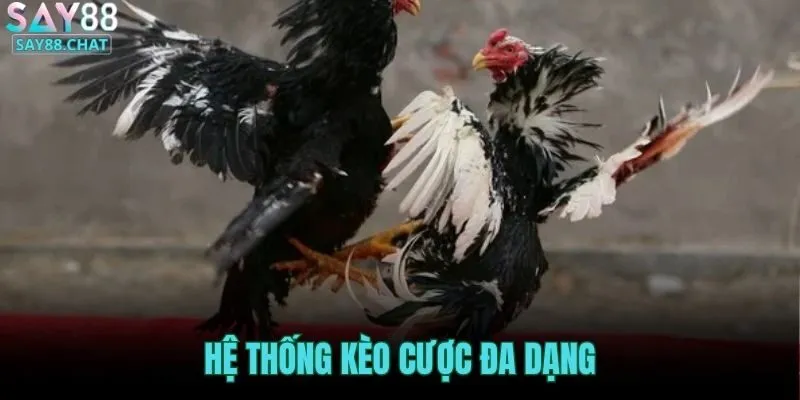 he-thong-keo-cuoc-da-dang