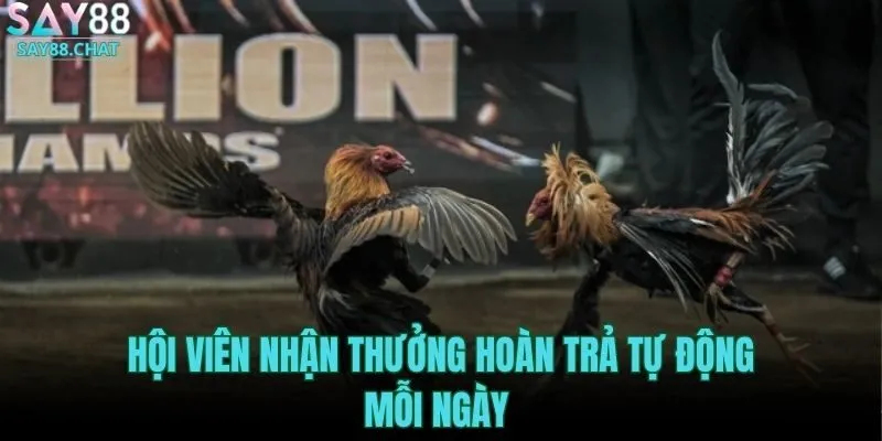 hoi-vien-nhan-thuong-hoan-tra-tu-dong-moi-ngay