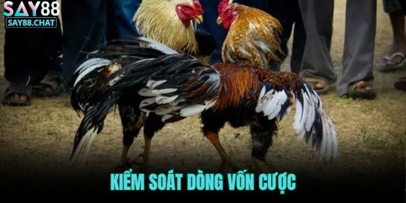 kiem-soat-dong-von-cuoc