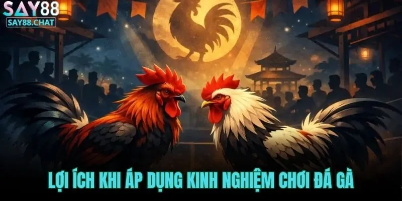 loi-ich-khi-ap-dung-kinh-nghiem-choi-da-ga