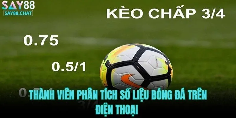 thanh-vien-phan-tich-so-lieu-bong-da-tren-dien-thoai
